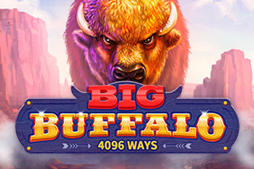 Big Buffalo (Skywind Group) sem registro