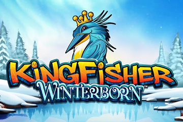 Slot Kingfisher Winterborn
