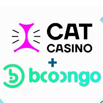 CatCasino Toma Booongo Slots